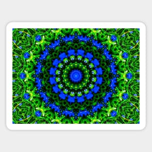 Falmouth-Blue Wildflowers  Kaleidoscope Magnet